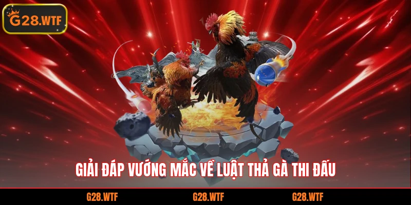 Giải đáp vướng mắc về luật thả gà thi đấu