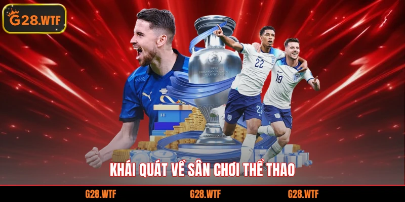 Khái quát về sân chơi thể thao
